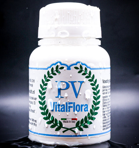 De Belangrijkste Vitamines Voor Gezonde Celgroei